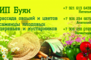 Визитка ИП Буян