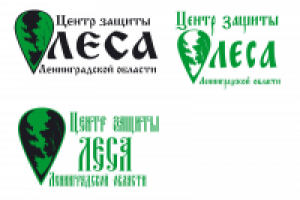 конкурсная работа