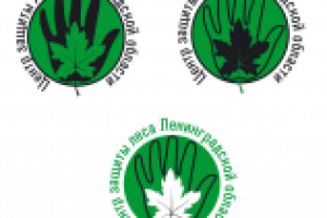 конкурсная работа