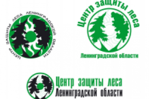 конкурсная работа