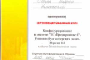 Свидетельство: Решение бухгалтерских задач