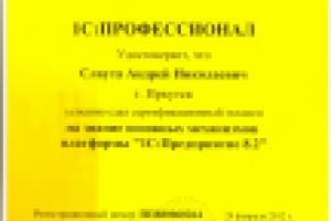 1С Профессионал: Предприятие 8.2