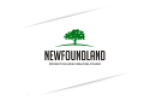 NEWfoundLAND