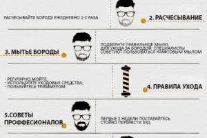 Инфографика " Как обзавестись красивой бородой"