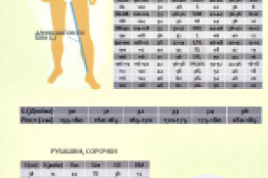 Инфографика " Размер одежды"