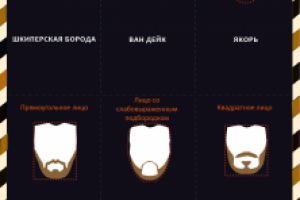 Инфографика "Лучшая борода - для вашего лица"