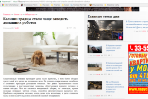 Текст для рекламы интернет-магазина роботов-пылесосов