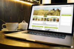 Работа 3128878