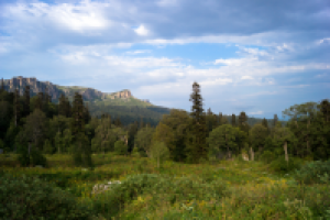 Работа 2548181