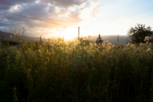 Работа 2548168