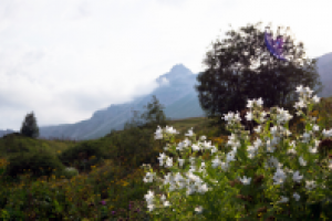 Работа 2548177