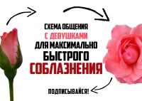 img2560280.png