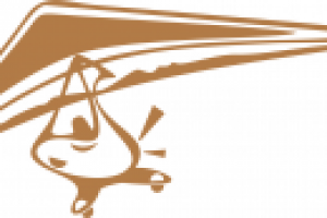 Логотип дельталета