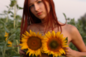 Работа 2522072