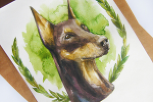 Акварельный доберман