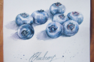 Иллюстрация "Голубика"