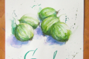 Иллюстрация "Крыжовник"