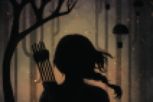 Иллюстрация к книге "Голодные Игры".