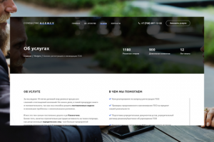 Страница об одной услуге компании "Consulting Agency"