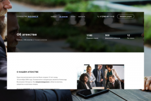 Внутренняя страница о компании "Consulting Agency"