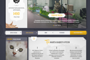 Конкурсна робота "Hotel cats"