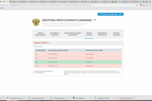 Пример верно подготовленной заявки. Парм Энерго.