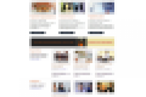 Megapolis Training School