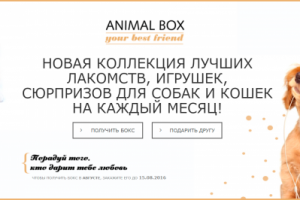 Сайт Animal-Box