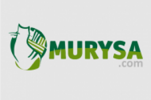 Мурыса