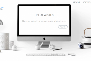 Portfolio  website
