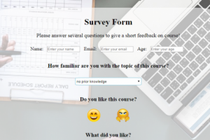 Survey Form