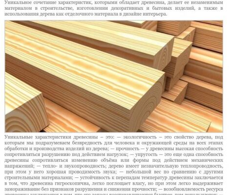 img3246109.png