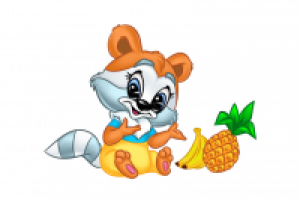 Крошка енот