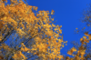 Золото на синеве