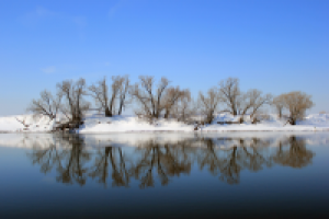 Зимнее утро