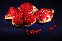 img2928130.png