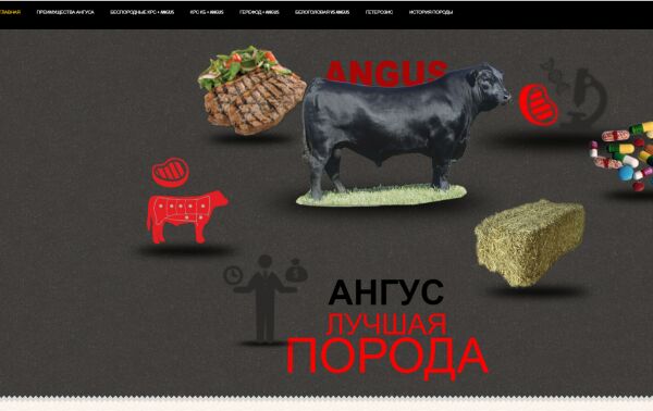 img3641374.png