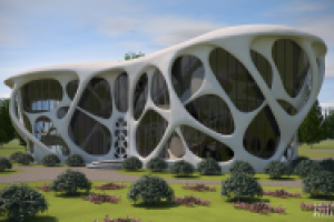 Малоэтажный жилой дом в стиле бионика