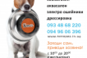 Реклама зоомагазина