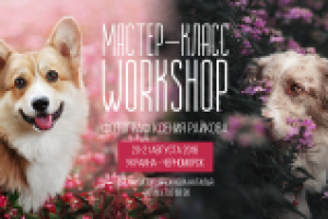 Реклама Мастер Класс