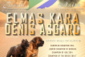 АНОНС вязки бурбулей