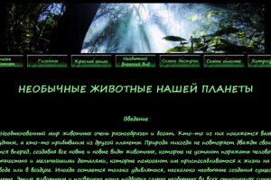 Необычные животные нашей планеты