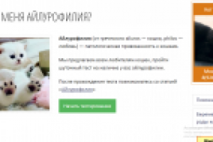 Заполнение сайта про кошек