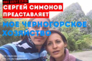 Обработка фото с помощью Photoshop