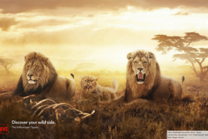 Рекламная ретушь / Коллаж