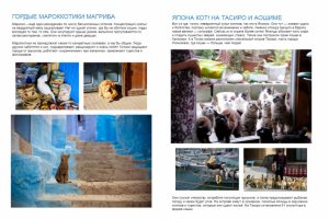 Работа 3655121