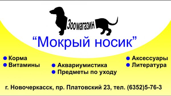img3174706.png
