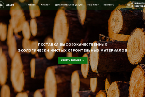Сайт-визитка для компании ASLES