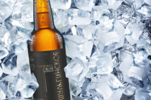 Работа 3250463