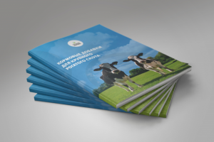 Многостраничный буклет А4